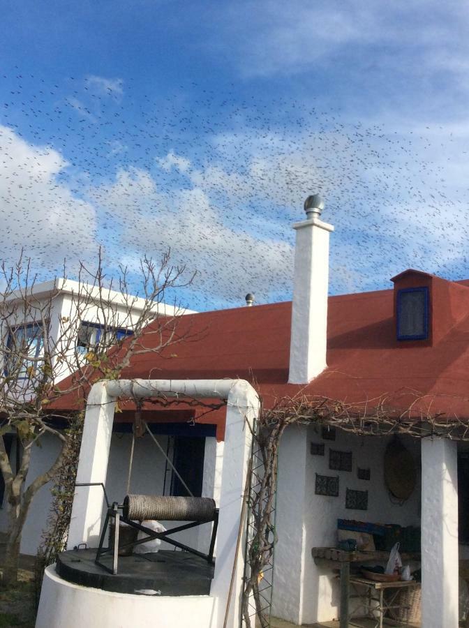 La Casa De Las Higueras Dar Karmus Tétouan Eksteriør billede